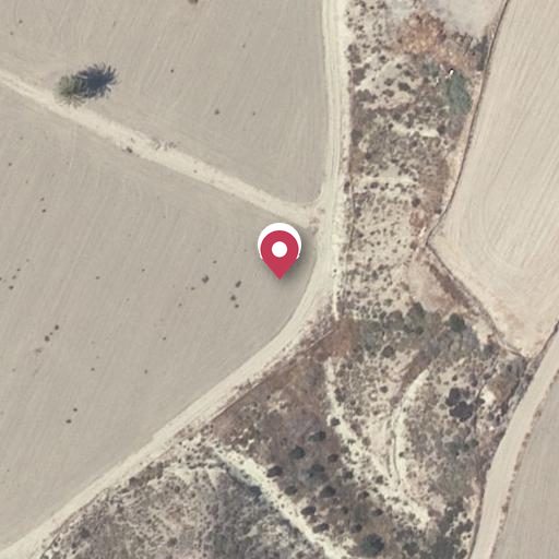Foto aérea de la subasta en Cuevas del Almanzora