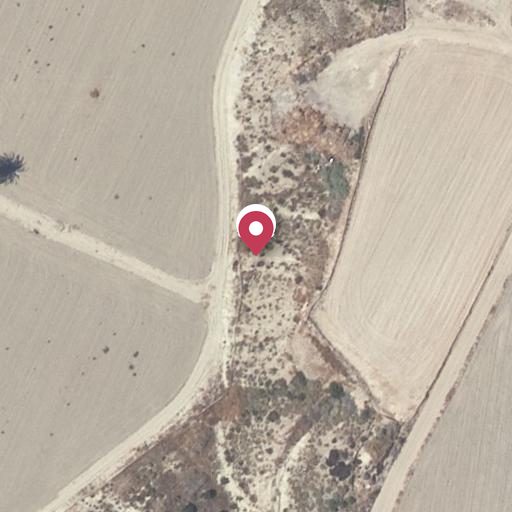 Foto aérea de la subasta en Cuevas del Almanzora