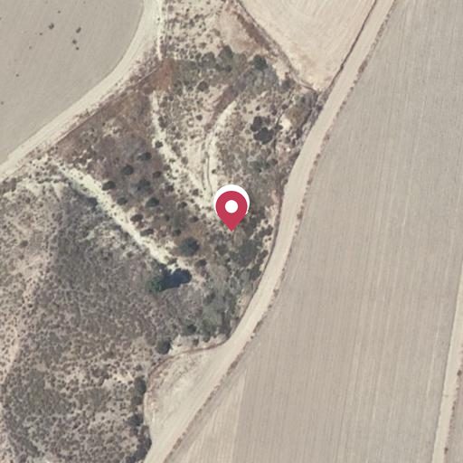 Foto aérea de la subasta en Cuevas del Almanzora
