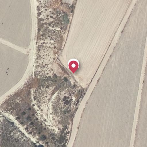 Foto aérea de la subasta en Cuevas del Almanzora