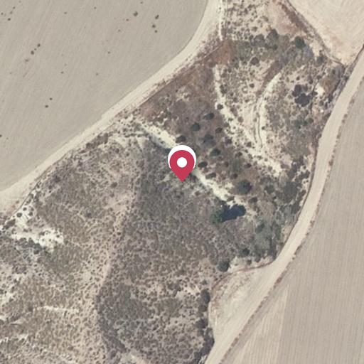Foto aérea de la subasta en Cuevas del Almanzora