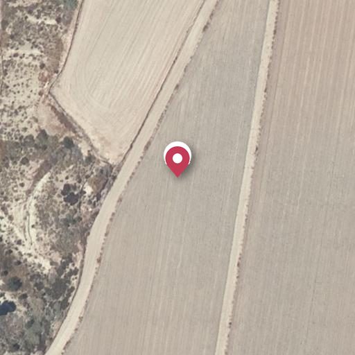 Foto aérea de la subasta en Cuevas del Almanzora