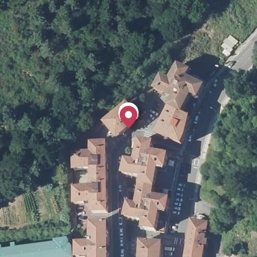 Foto aérea de la subasta en Laudio/llodio
