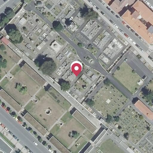 Foto aérea de la subasta en Muxika