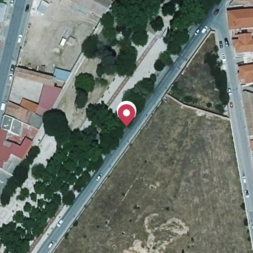 Foto aérea de la subasta en Tomelloso