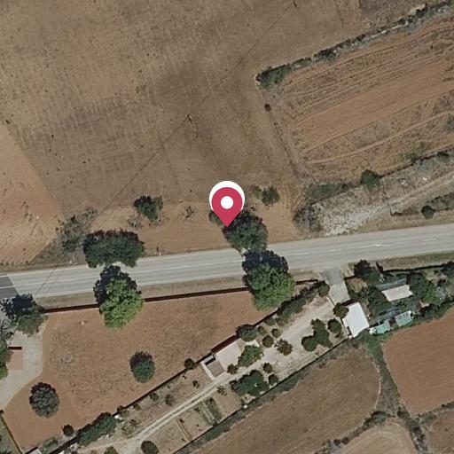 Foto aérea de la subasta en Algaida