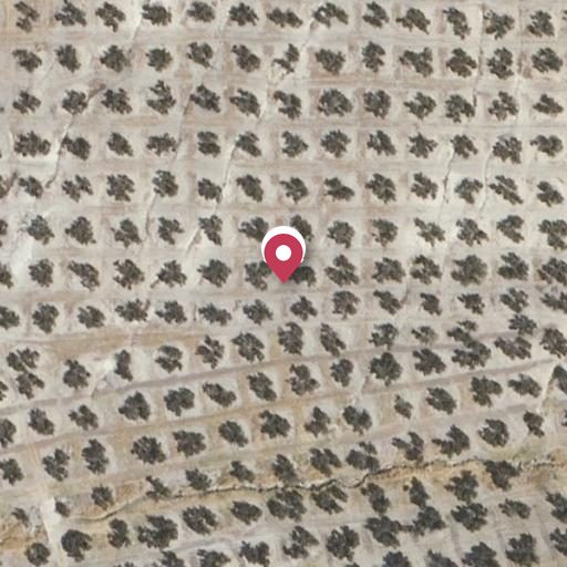 Foto aérea de la subasta en Santo Tomé