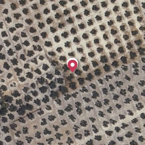 Foto aérea de la subasta en Villacarrillo