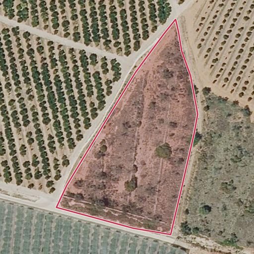 Foto aérea de la subasta en Alcalà de Xivert