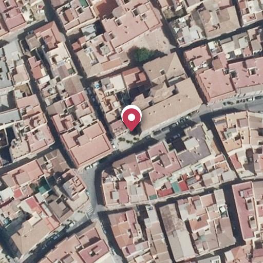 Foto aérea de la subasta en Motril