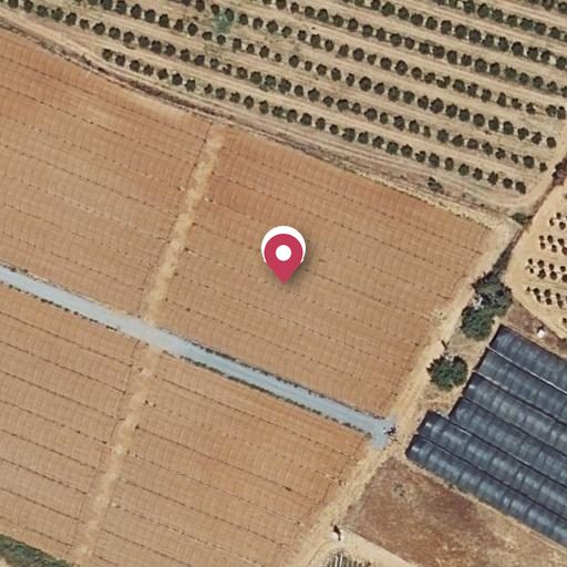 Foto aérea de la subasta en Cartaya