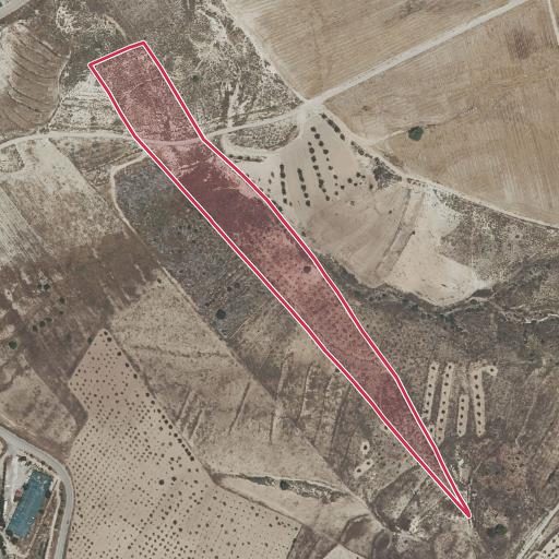 Foto aérea de la subasta en Mazarron