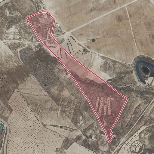 Foto aérea de la subasta en Mazarron