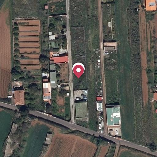 Foto aérea de la subasta en San Cristobal de la Laguna