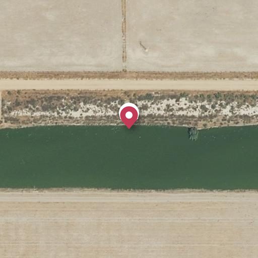 Foto aérea de la subasta en Aznalcázar