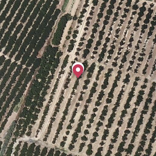 Foto aérea de la subasta en Vilallonga del Camp