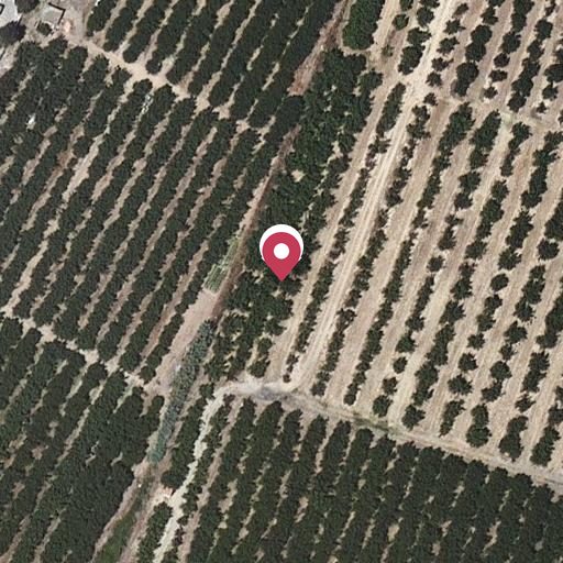 Foto aérea de la subasta en Vilallonga del Camp