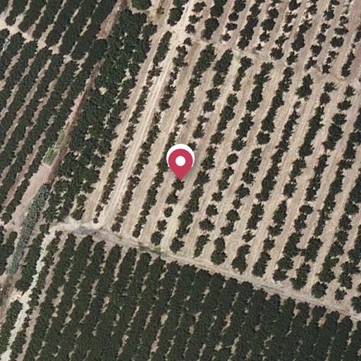 Foto aérea de la subasta en Vilallonga del Camp