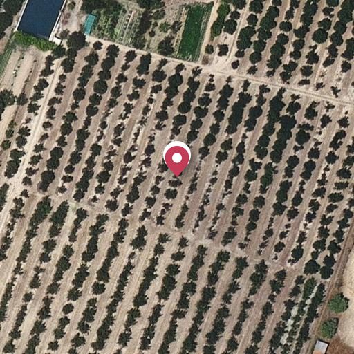 Foto aérea de la subasta en Vilallonga del Camp