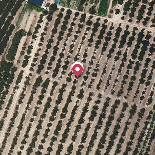 Foto aérea de la subasta en Vilallonga del Camp