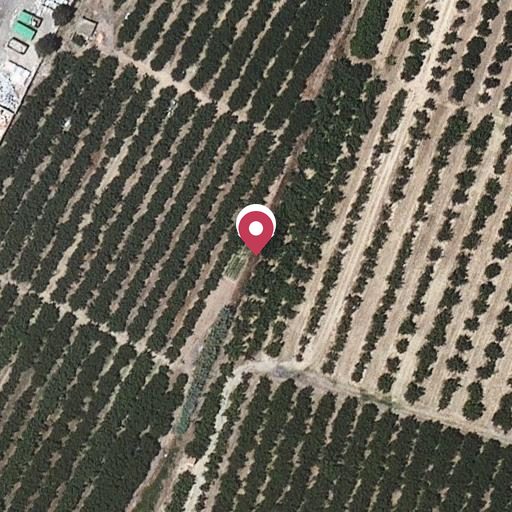 Foto aérea de la subasta en Vilallonga del Camp