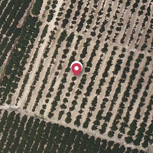 Foto aérea de la subasta en Vilallonga del Camp