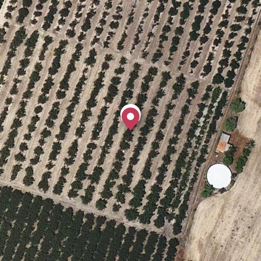 Foto aérea de la subasta en Vilallonga del Camp