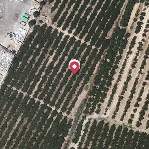 Foto aérea de la subasta en Vilallonga del Camp