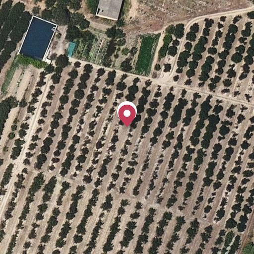 Foto aérea de la subasta en Vilallonga del Camp