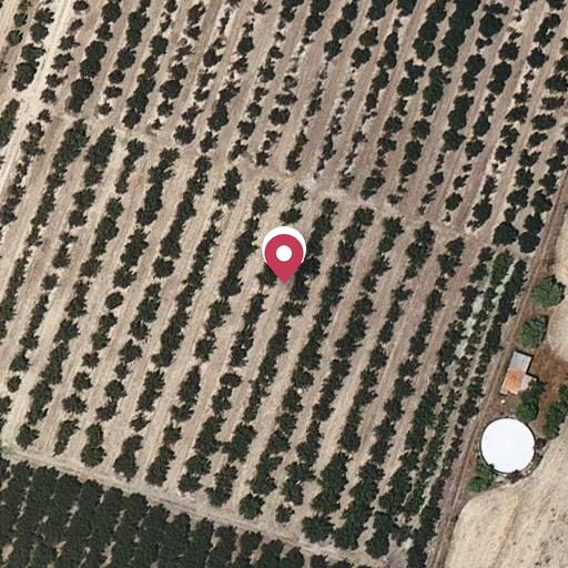 Foto aérea de la subasta en Vilallonga del Camp