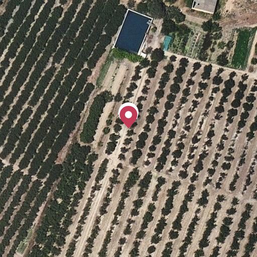 Foto aérea de la subasta en Vilallonga del Camp