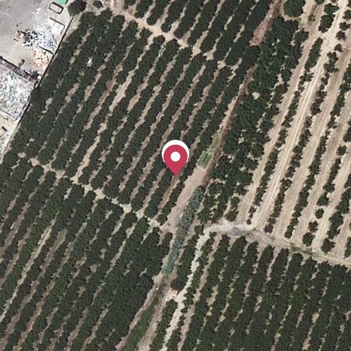 Foto aérea de la subasta en Vilallonga del Camp