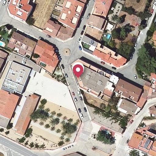 Foto aérea de la subasta en Vilallonga del Camp