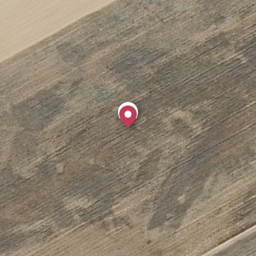 Foto aérea de la subasta en Monasterio de Vega
