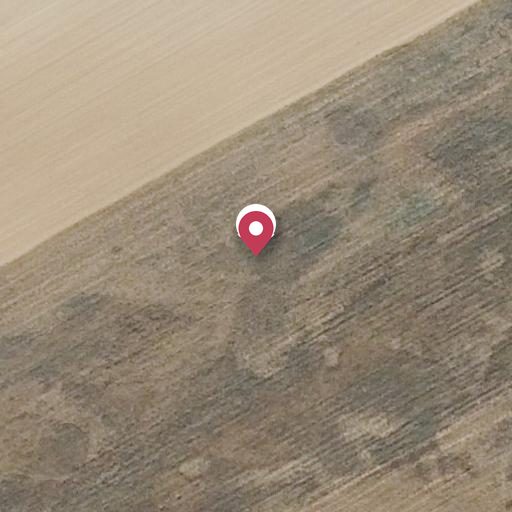 Foto aérea de la subasta en Monasterio de Vega