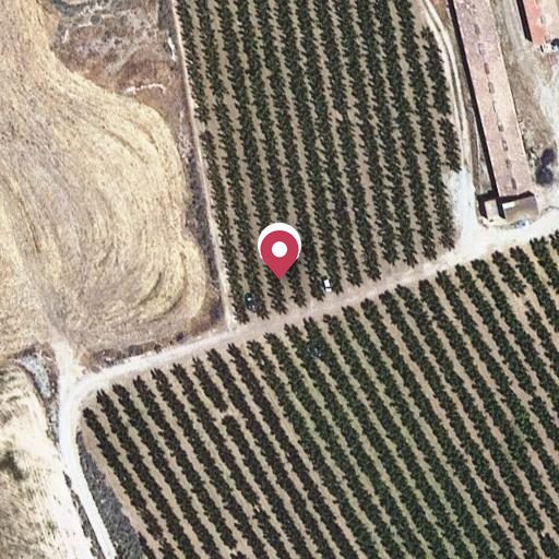 Foto aérea de la subasta en Corbins