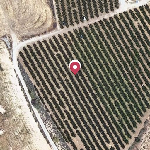 Foto aérea de la subasta en Corbins