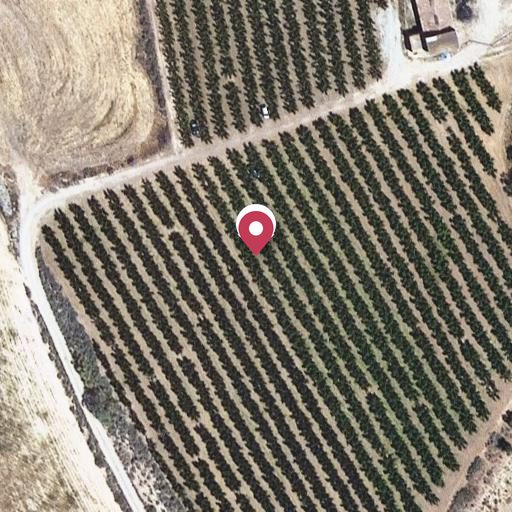 Foto aérea de la subasta en Corbins