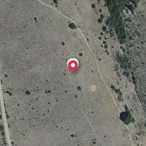 Foto aérea de la subasta en Laguna Dalga