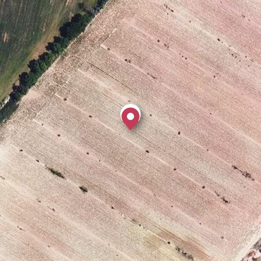 Foto aérea de la subasta en Gimenells i el Pla de la