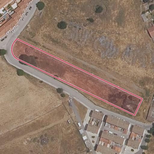 Foto aérea de la subasta en Fregenal de la Sierra