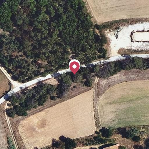 Foto aérea de la subasta en Tordera