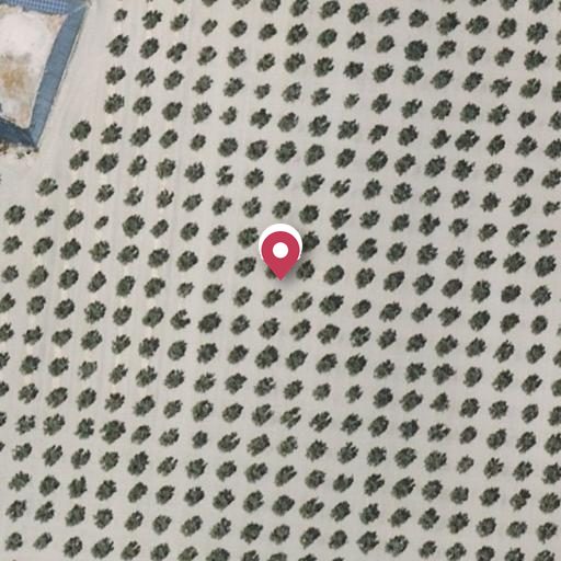 Foto aérea de la subasta en Hijar - las Gabias