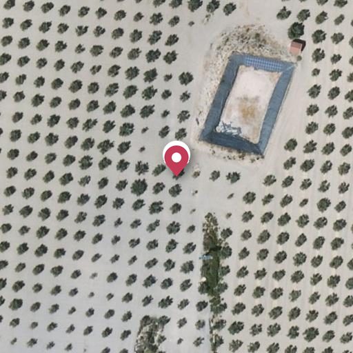 Foto aérea de la subasta en Hijar - las Gabias