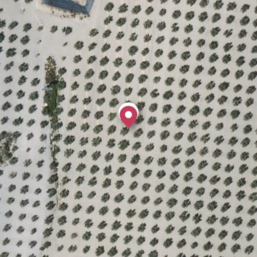 Foto aérea de la subasta en Hijar - las Gabias