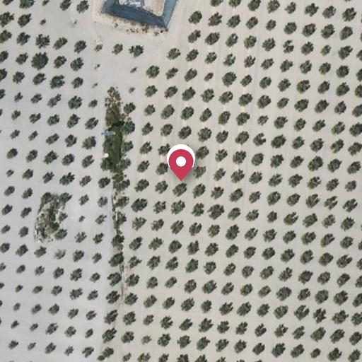 Foto aérea de la subasta en Hijar - las Gabias