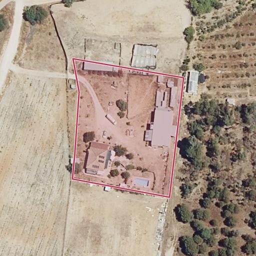 Foto aérea de la subasta en Almonte