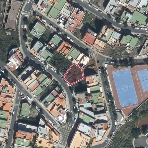 Foto aérea de la subasta en Guimar
