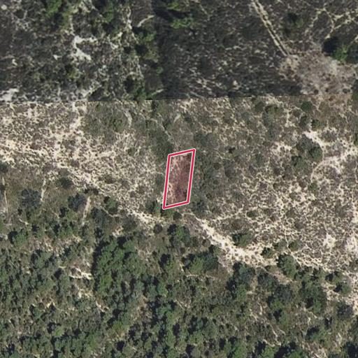 Foto aérea de la subasta en Fayon