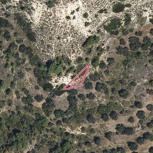Foto aérea de la subasta en Fayon